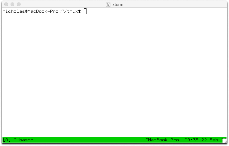 tmux 공식 위키의 기본 화면. 터미널 아래에 초록색 상태줄이 있고 세션과 윈도 정보가 표시되어 있음